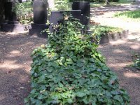 04 20 - Sziget Mártír-parcella